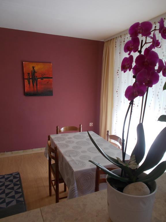 Apartments Sara Labin  Ngoại thất bức ảnh