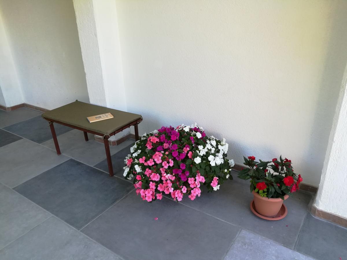 Apartments Sara Labin  Ngoại thất bức ảnh