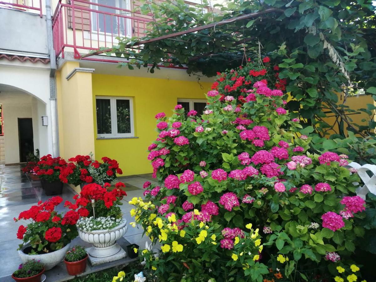 Apartments Sara Labin  Ngoại thất bức ảnh